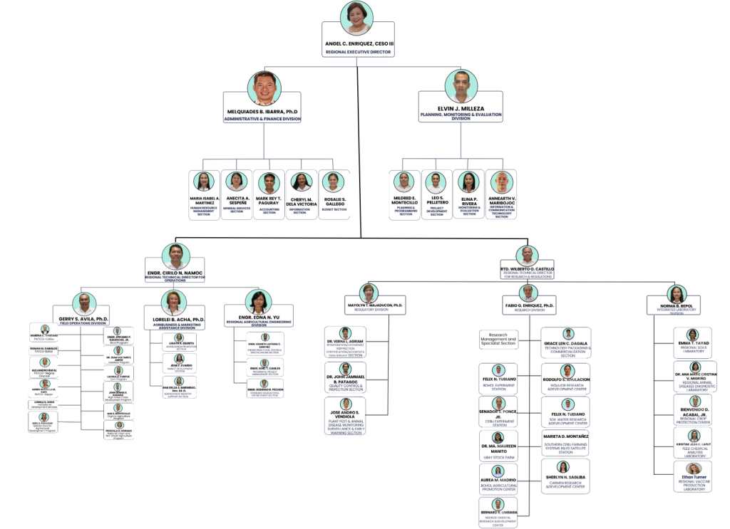 Regional Office Organization Chart